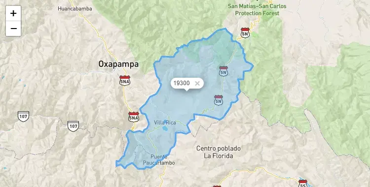 Mapa de la zona del código postal 19300 en Villa Rica, Pasco