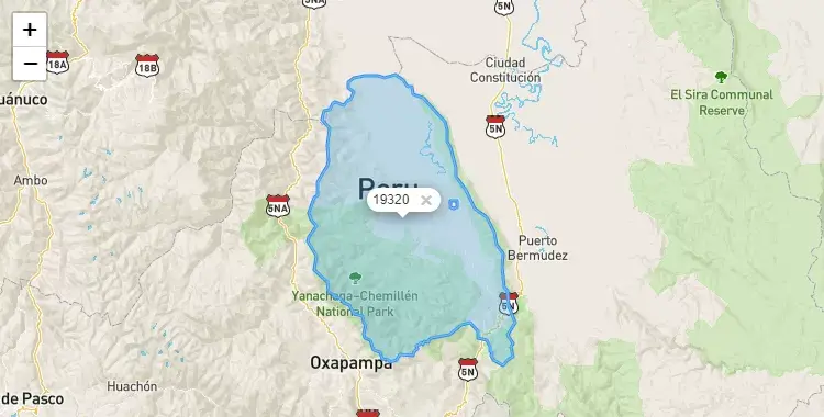 Mapa de la zona del código postal 19320 en Palcazú, Pasco